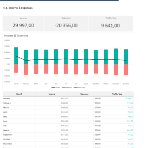 Budget vs Actual Spreadsheet Template | Adnia Solutions