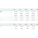 Cash Flow Dashboard Template | Adnia Solutions