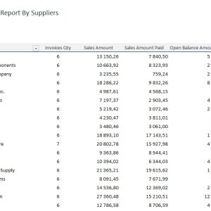 Account Payable Management Template - Report By Suppliers
