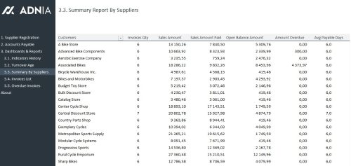 Account Payable Management Template - Report By Suppliers