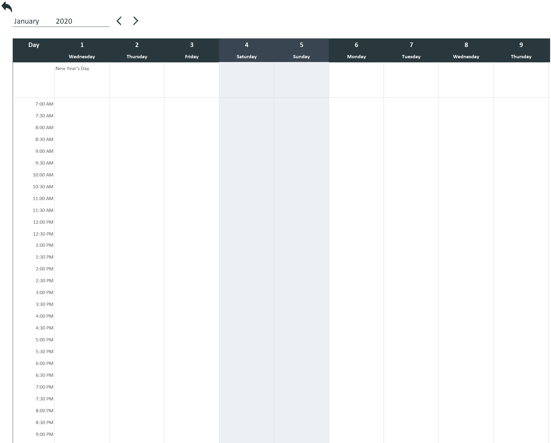 excel template daily planner