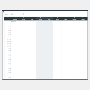 Free Daily Schedule Template Excel
