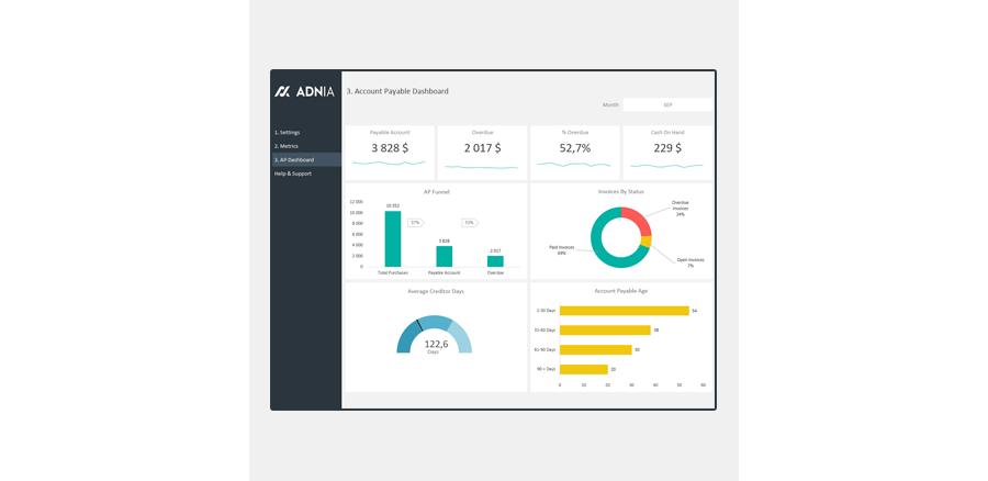 Demo - Account Payable Dashboard Template